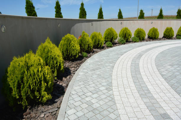 Professional Driveway Pavers in Victorville, CA